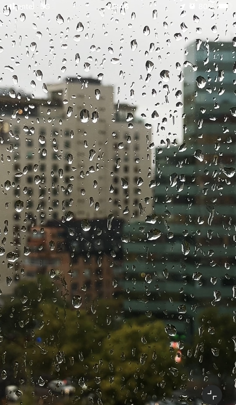 fotografía 7